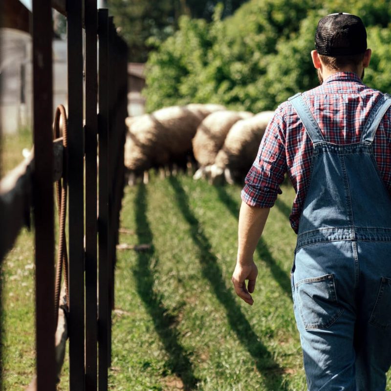 Why Should Agricultural Workers and Farmers Be Concerned About Hearing Loss